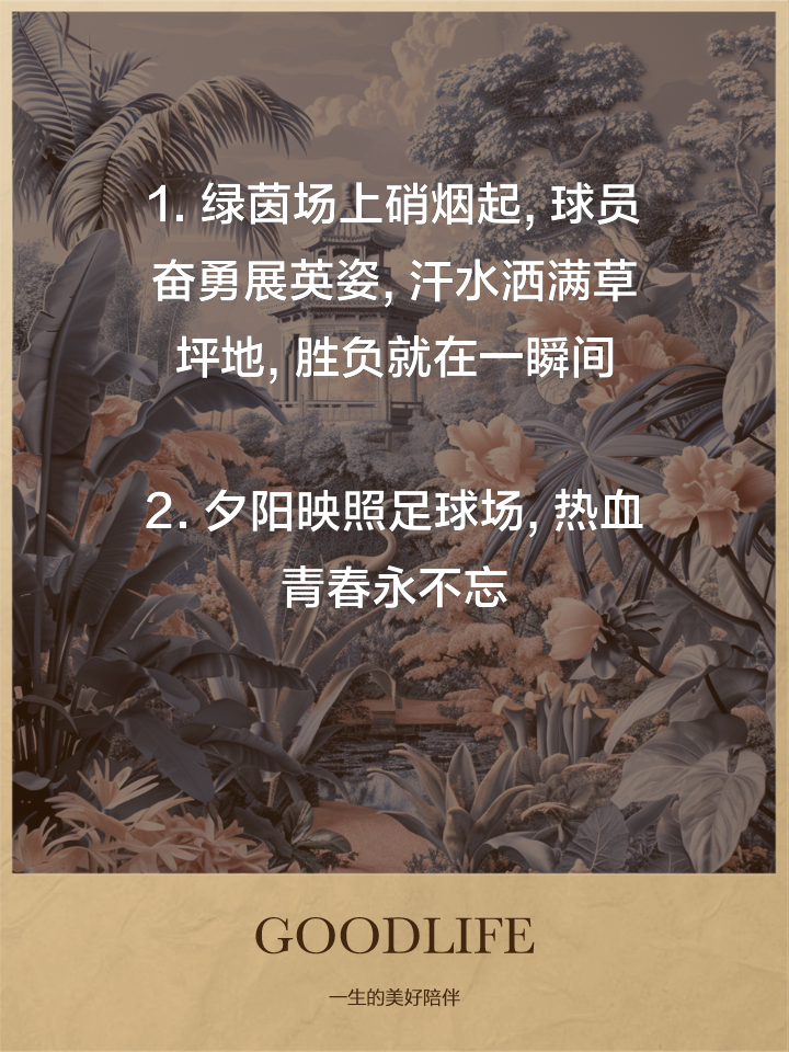 足球场上豪情壮志，热血激荡